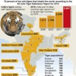 Tigar Data In India