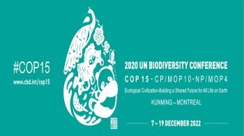 COP 15 संयुक्त राष्ट्र जैव विविधता शिखर सम्मेलन