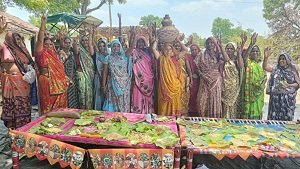 बीज उत्सव