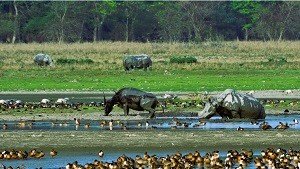 वैश्विक प्रकृति संरक्षण सूचकांक