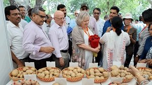 अंतर्राष्ट्रीय आलू केंद्र