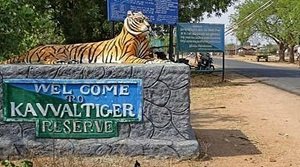 कवल टाइगर रिजर्व