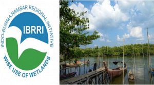 IBRRI