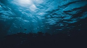 कार्ल्सबर्ग रिज