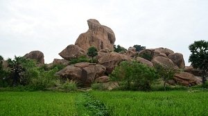 जैव विविधता विरासत स्थल