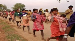 विशेष रूप से कमजोर जनजातीय समूह