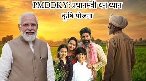 PMDDKY