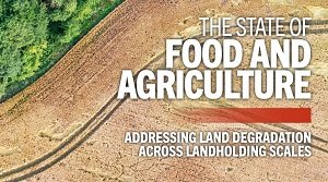 SOFA रिपोर्ट 2025