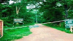 भोरमदेव वन्यजीव अभयारण्य