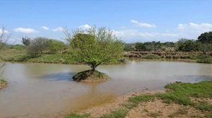 सुखना वन्यजीव अभयारण्य