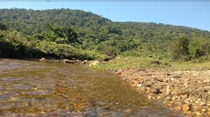 चक्रशिला वन्यजीव अभयारण्य