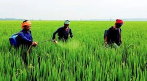 भारत में सीमांत किसानों की स्थिति 2025