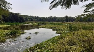 मीर आलम टैंक