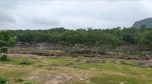 रातापानी टाइगर रिज़र्व