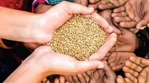 डिजिटल खाद्य मुद्रा