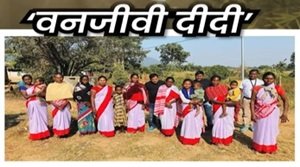 वनजीवी दीदी