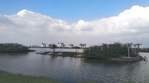 कोलेरु झील