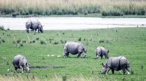 पोबितोरा वन्यजीव अभयारण्य