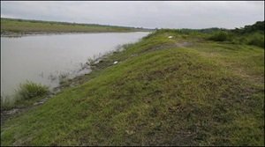 नदी बेसिन प्रबंधन योजना