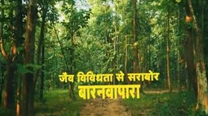 बरनवापारा वन्यजीव अभयारण्य