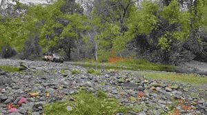 भोरमदेव वन्यजीव अभयारण्य