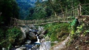रु-सोम स्वदेशी इंजीनियरिंग