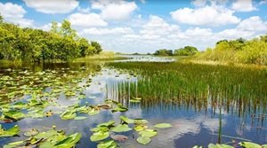 होकरसर झील