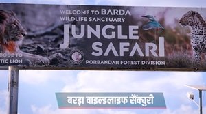 बरदा वन्यजीव अभयारण्य