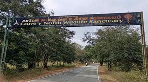 कावेरी वन्यजीव अभयारण्य