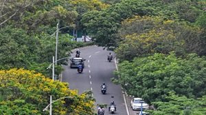 ग्रीन इंडिया मिशन
